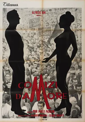 Comizi d'amore Poster