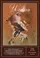 Woman in Deep poster thumbnail