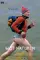 Mot naturen poster thumbnail