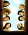 Passed Away poster thumbnail