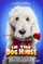 In the Dog House poster thumbnail